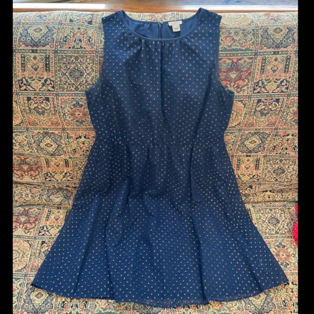 J Crew Navy and Gold Polka Dot Dress